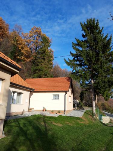 una casa con un árbol en el patio en Zlatica en Kalnik