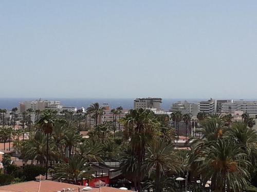 uitzicht op een stad met palmbomen en gebouwen bij Apartamento Deluxe Yumbo in Playa del Inglés