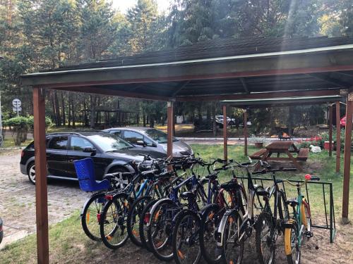 a group of bikes parked under a pavilion at Leśnik Bungalow Stegna - domki letniskowe nad morzem in Stegna