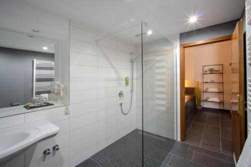 a bathroom with a glass shower and a sink at SL'otel im Parforcehaus in Bernburg