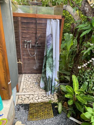 a shower with a shower curtain in a garden at Le Filao in Pointe-Noire