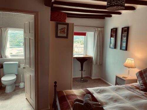 una camera con letto, servizi igienici e finestra di Cobb Cottage a Bovey Tracey
