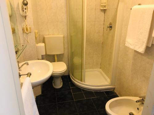 a bathroom with a sink and a toilet and a shower at Hotel Ferrucci in Turin
