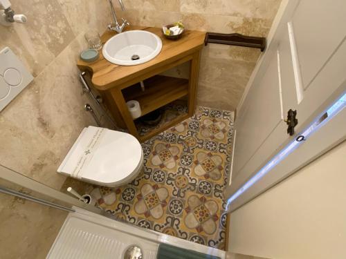 an overhead view of a bathroom with a toilet and a sink at Podere Terreno alla via della volpaia in Radda in Chianti