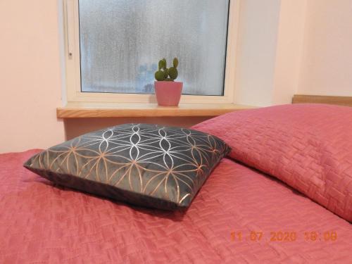 a bed with a pillow and a window with a plant at Apartma Ada in Tolmin
