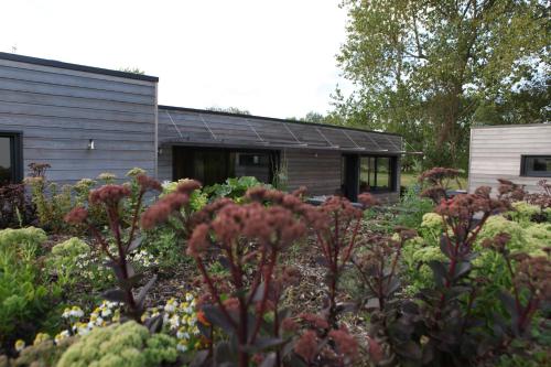 un jardin fleuri devant une maison dans l'établissement Ty Polder, à l'Île-Tudy