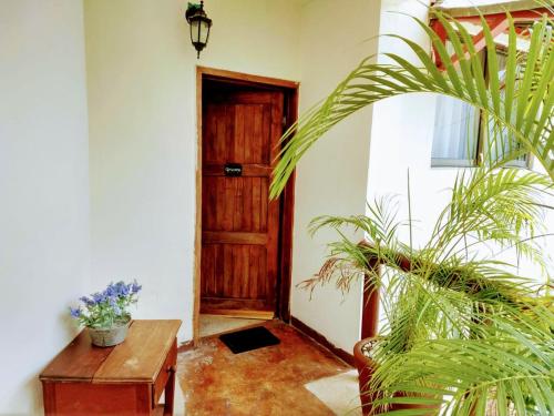 a room with a wooden door and a table and a plant at Hostal & Suites Pata de Perro in Bacalar
