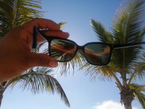 a person holding a pair of sunglasses in front of a palm tree at Riviera Punta Cana Eco Travelers in Punta Cana