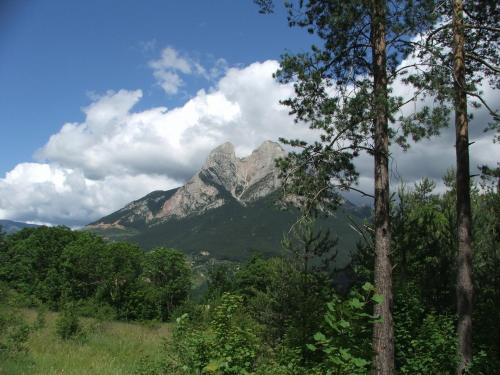 a mountain in the distance with trees in the foreground at Hostal Pedraforca in Saldés