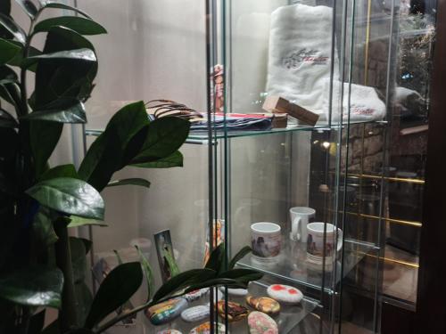 a glass display case with a plant in a room at Theatro Hotel Odysseon in Kalabaka