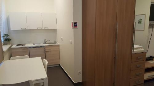 a small kitchen with a table and a sink at City Center Apartments Linz in Linz