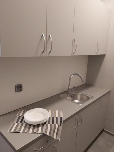 Kuchyň nebo kuchyňský kout v ubytování Vigo Hotel
