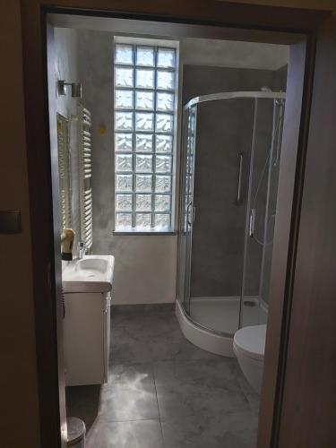 a bathroom with a shower and a sink and a toilet at Vigo Hotel in Łódź