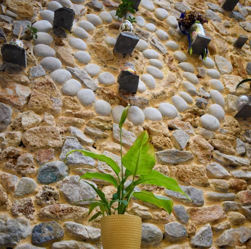een stenen muur met een plant ervoor bij Poco Loco Bed & Breakfast in Chania
