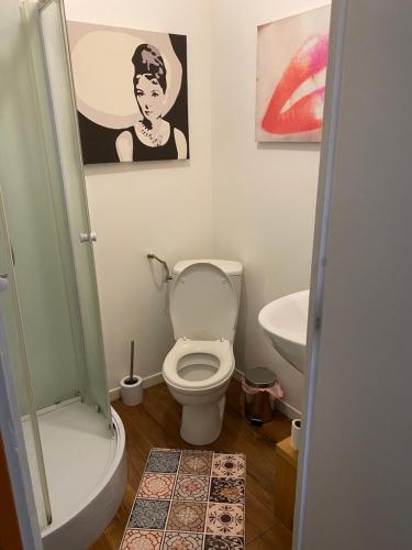 petit studio fonctionnel independant في سانت بريوك: حمام مع مرحاض ومغسلة