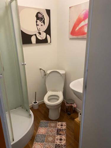 un baño con inodoro y lavabo en petit studio fonctionnel independant, en Saint-Brieuc