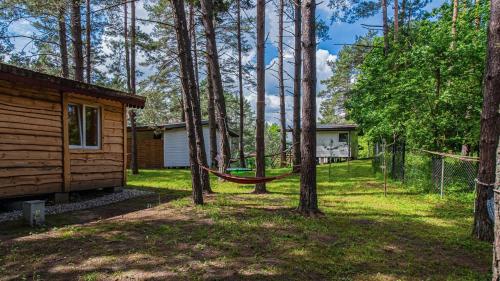 a hammock in the woods next to a cabin at Sosnowy Raj - domki na Mazurach in Maradki