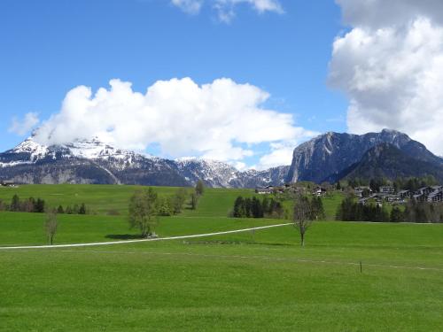 a green field with mountains in the background at Stangl - Hof in Bad Aussee