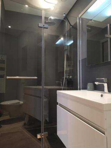 a bathroom with a sink and a glass shower at Au Bouchon Champenois in Bouzy