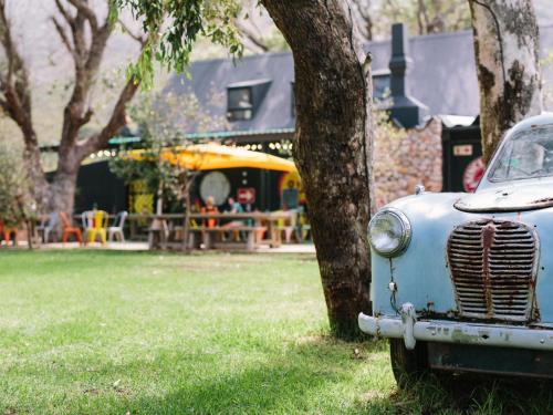 an old blue car parked next to a tree at PitStop Lodge in Gordonʼs Bay