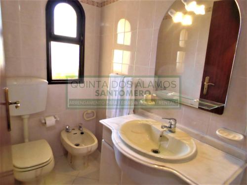 a bathroom with a sink and a toilet and a mirror at Villa Catuna - Quinta do Jolu in Guia