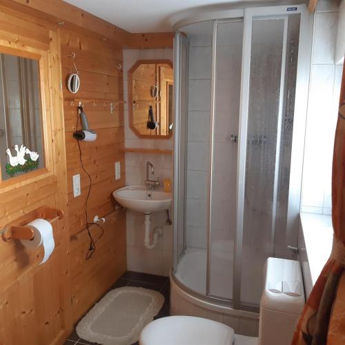 uma casa de banho com um chuveiro, um WC e um lavatório. em Jagerhäusl em Fügen