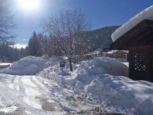 a row of snow covered bushes on a road at Hotel La Molinella in Soraga
