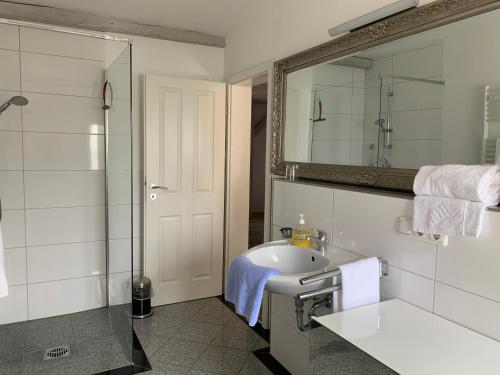 a bathroom with a sink and a mirror and a shower at Comfort in Bamberg
