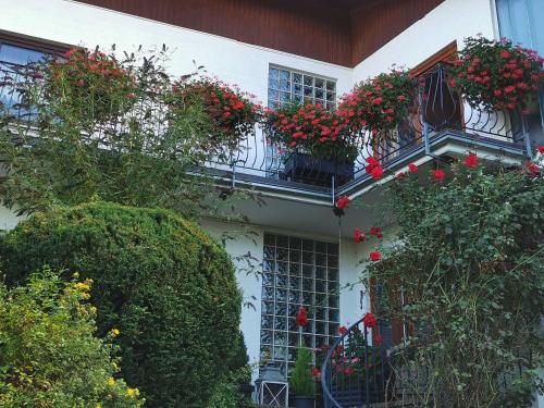 a white house with red flowers on its windows at Haus Froehlich in Michelstadt