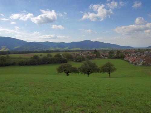 a green field with two trees in the middle at Ferienwohnungen Stegen in Stegen