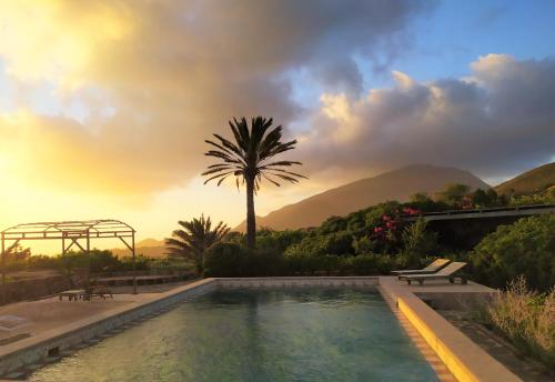 basen z palmą i zachodem słońca w obiekcie Tenuta Borgia w mieście Pantelleria