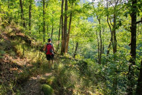 a person walking on a trail in the woods at La Ferme du Cayla in Linac