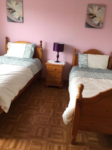 a bedroom with two beds and a lamp on a night stand at Eden House in Carlingford