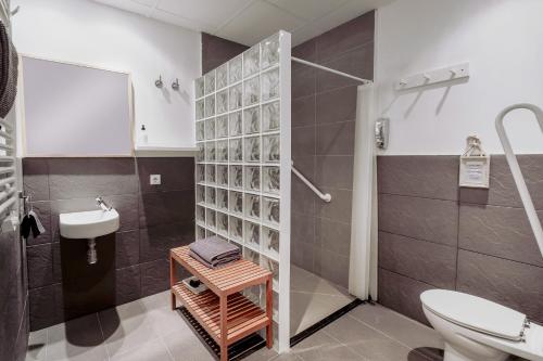 a bathroom with a shower and a toilet and a sink at B&B Inés in Sant Cugat del Vallès