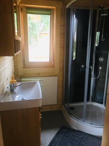 a bathroom with a sink and a shower at Blockhaus Harzblick4C in Braunlage