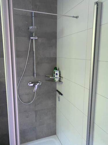 a shower in a bathroom with a glass door at Appartment mit Blick auf Schloss Sayn in Bendorf