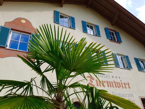 a palm tree in front of a building with blue windows at Hotel Turmwirt in Ora/Auer