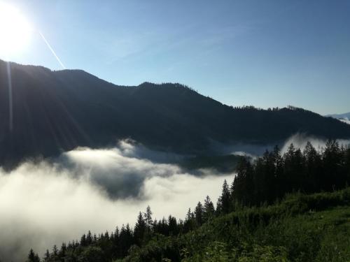 a view of a mountain with clouds in the valley at Biohof Sattler in Etmissl