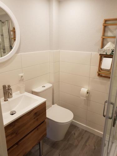 La salle de bains est pourvue de toilettes, d'un lavabo et d'un miroir. dans l'établissement Gemütliche, neu renovierte Einraum-FeWo auf dem Bauernhof, à Oetzen
