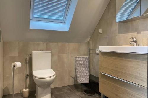 a bathroom with a toilet and a sink and a window at Gite "Le Platane" 45 m2 - climatisé in Monswiller
