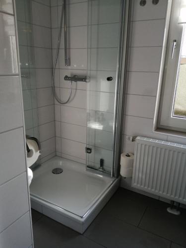 a shower with a glass door in a bathroom at Steinmarner Bude 2 in Cuxhaven
