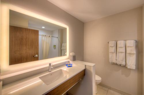ein Badezimmer mit einem Waschbecken, einem Spiegel und einem WC in der Unterkunft Holiday Inn Express & Suites - Remington, an IHG Hotel in Remington
