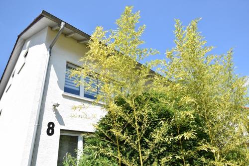 a white building with trees in front of it at Rubin in Sinsheim
