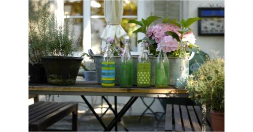 a table with a bunch of plants and bottles on it at Hotel Kolbergarten in Bad Tölz