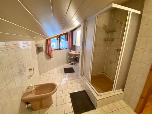 La salle de bains est pourvue d'un lavabo et d'une douche. dans l'établissement Haus Polleruhs, à Aflenz Kurort