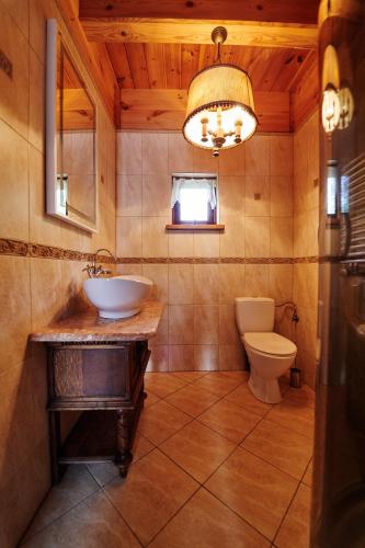 a bathroom with a sink and a toilet at BORYSÓWKA in Kopanica