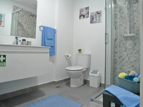 uma casa de banho com um WC e um chuveiro em Town Apartment no Funchal