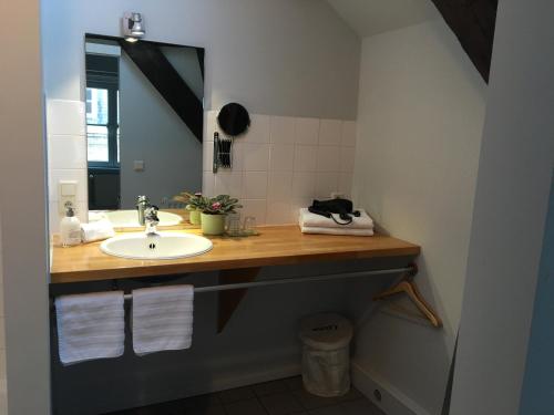 a bathroom with a sink and a mirror at B&B Setola in Bruges