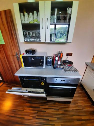 a kitchen with a counter top with a microwave at Penzion Garden in Cerny Dul