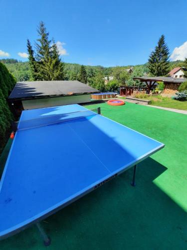 a blue ping pong table with a frisbee at Penzion Garden in Cerny Dul